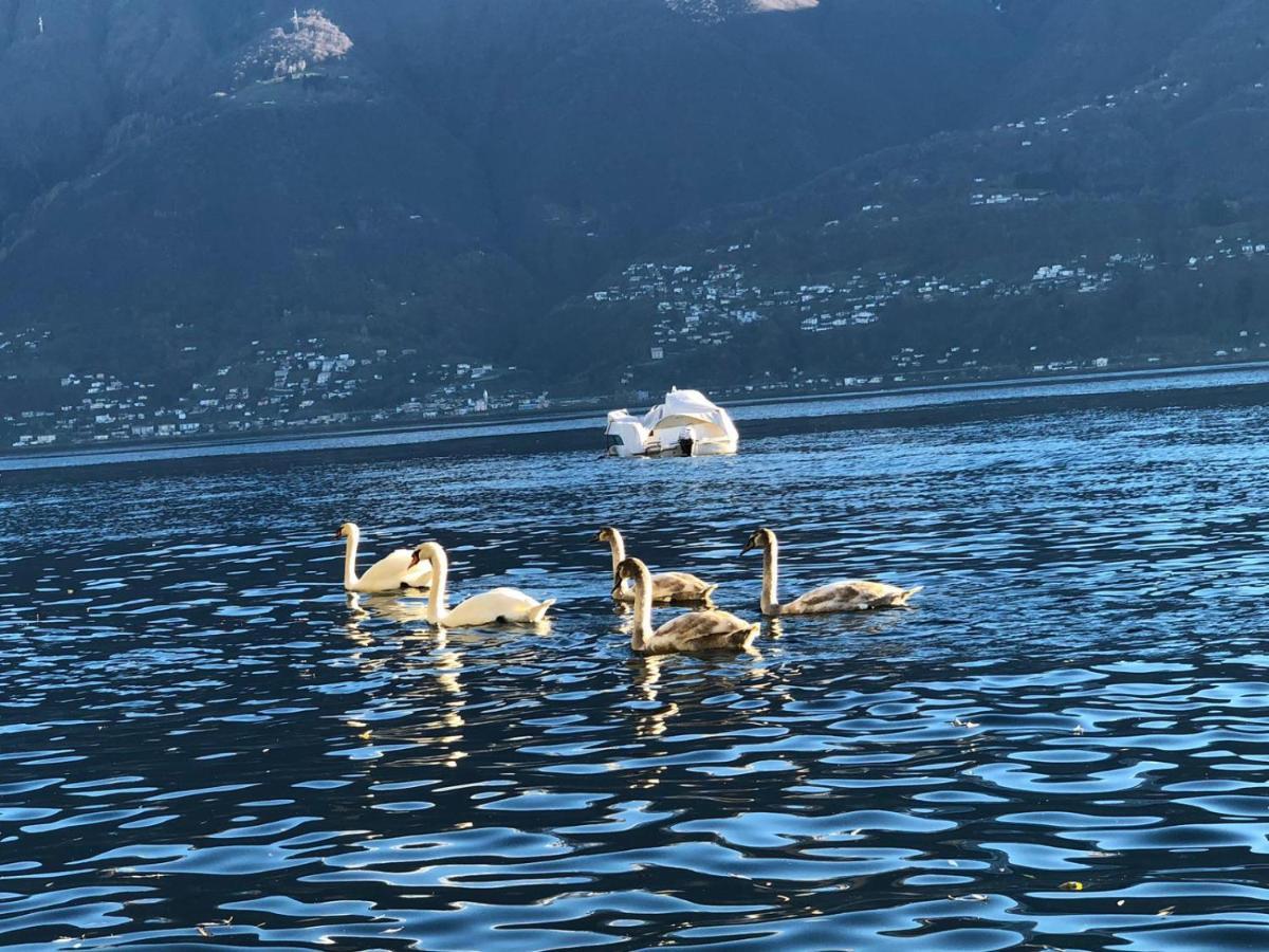 Casa Sibylle Bei Locarno Apartman Kültér fotó