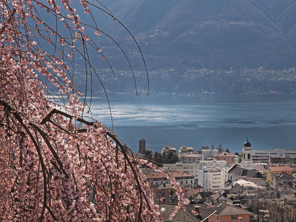Casa Sibylle Bei Locarno Apartman Kültér fotó